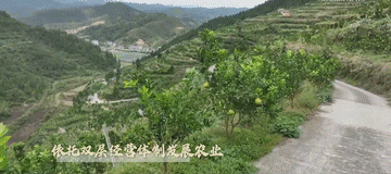 微视频｜建设有中国特色的农业强国