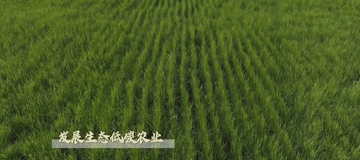微视频｜建设有中国特色的农业强国