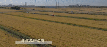 微视频｜建设有中国特色的农业强国